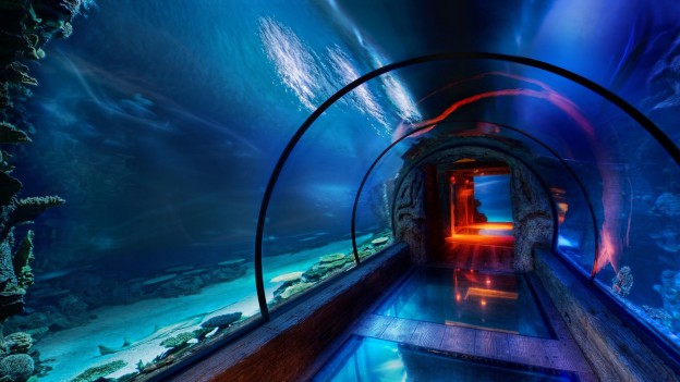 tunnels-42602