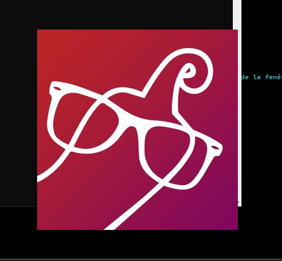 [DEV] Comment faire un splash-screen ? | Résultat attendu.