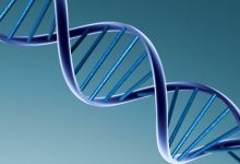 Comment sauver notre planète : la bioingénierie ?